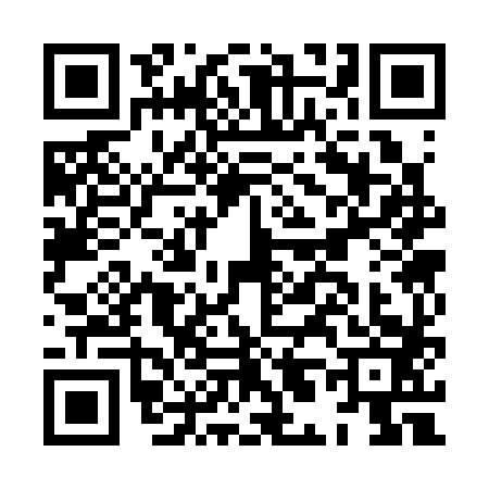 QR code for HL33833