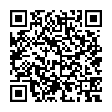 QR code for HL57383