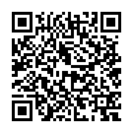 QR code for HL75329