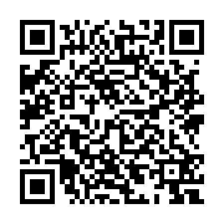 QR code for HL91229