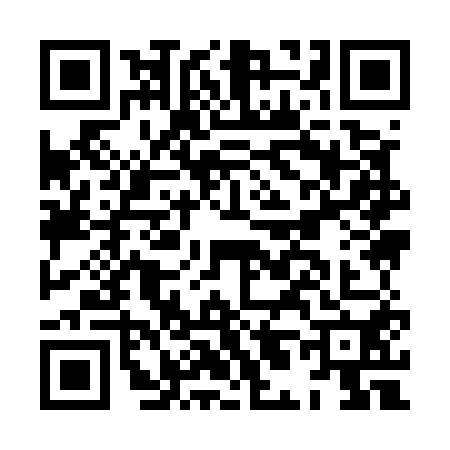 QR code for HL95509