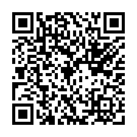 QR code for HL99307
