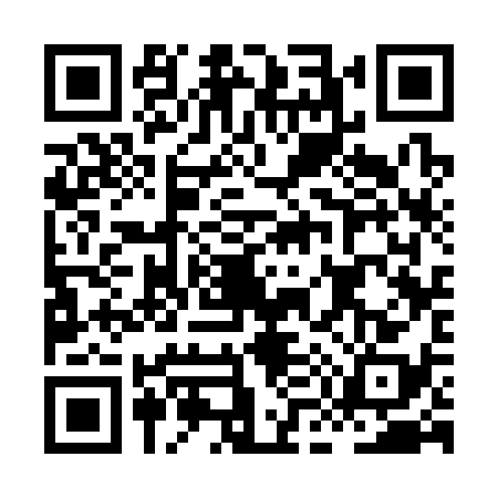 QR code for HM33384