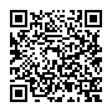 QR code for HM38321