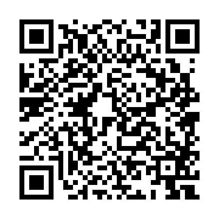 QR code for HN03863