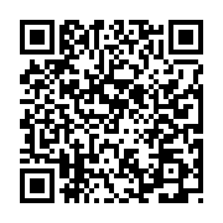 QR code for HN03909