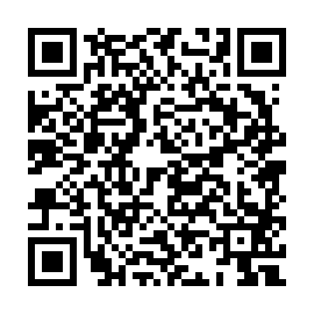 QR code for HN06832