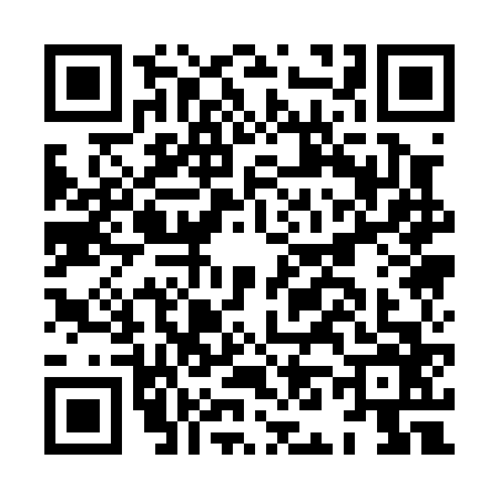 QR code for HN10665