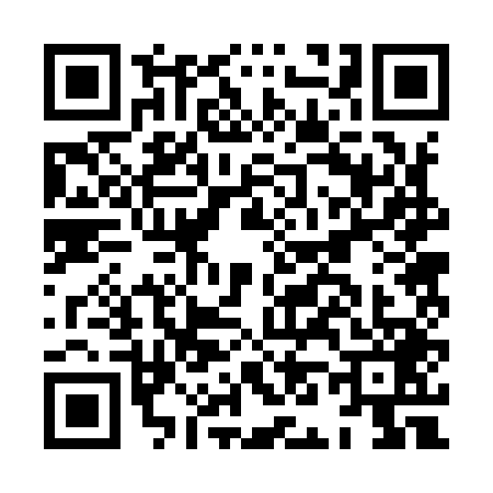 QR code for HN29496