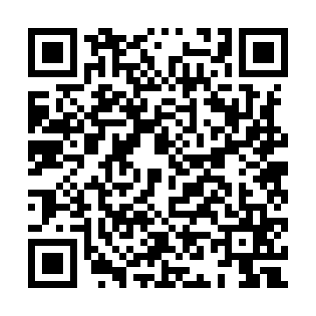 QR code for HN29655
