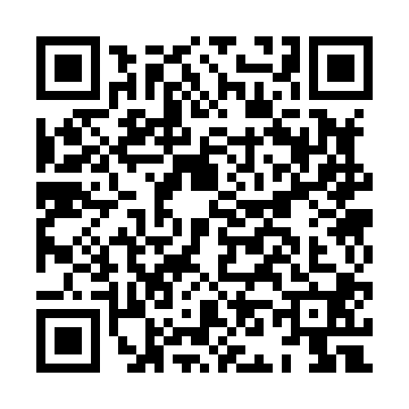 QR code for HN38007