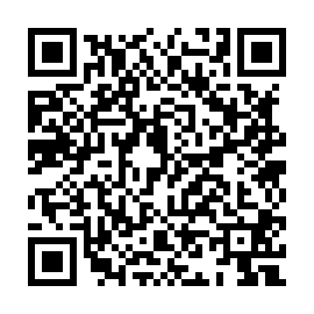 QR code for HN38009