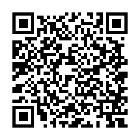 QR code for HN54838