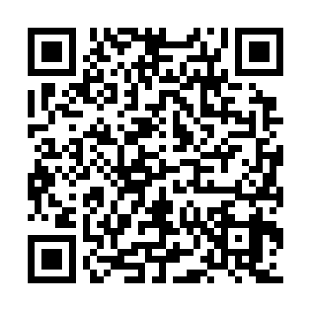 QR code for HN63394