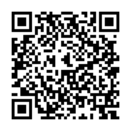 QR code for HO10919