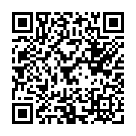 QR code for HO13383