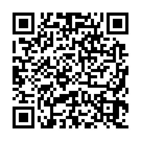 QR code for HO13638