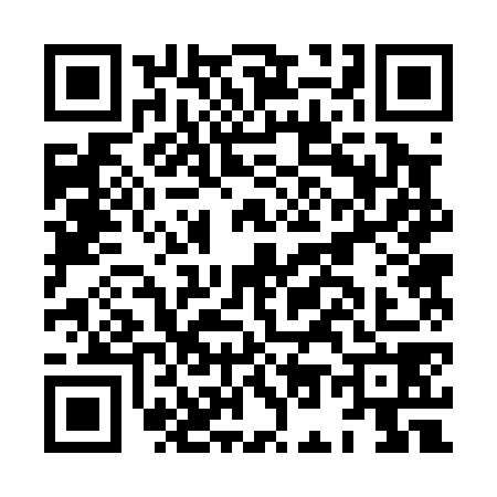 QR code for HO20787