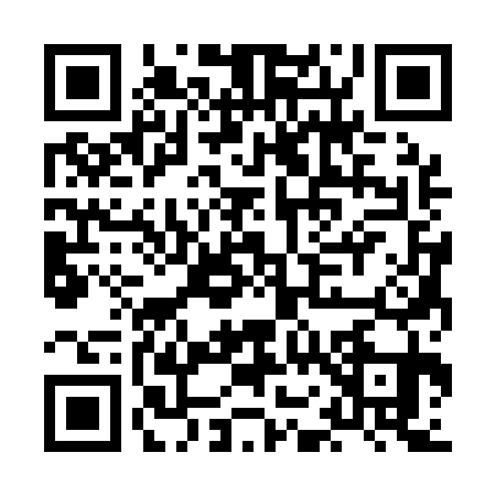 QR code for HO31314