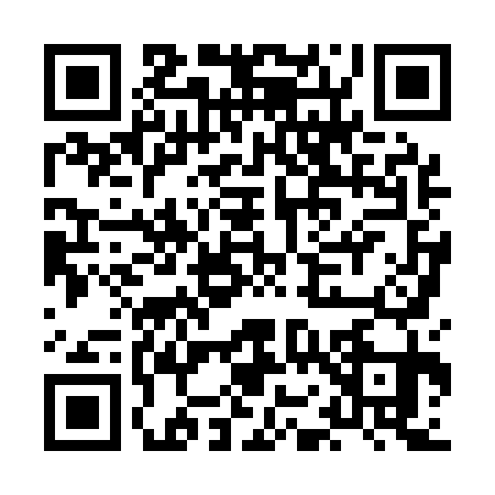 QR code for HO81311