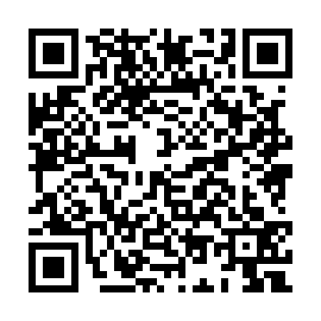 QR code for HO81339