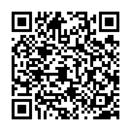 QR code for HP06384