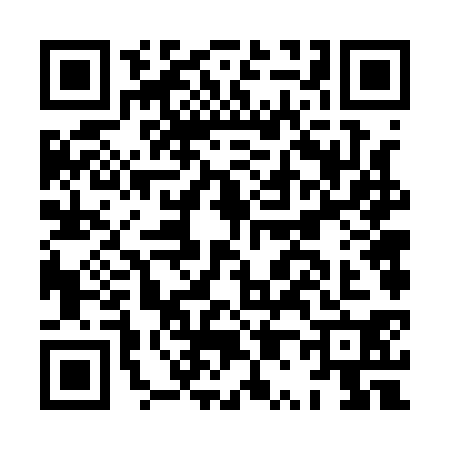 QR code for HP61305