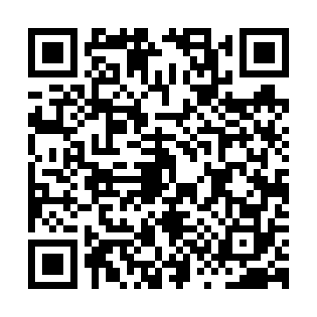 QR code for HS46729