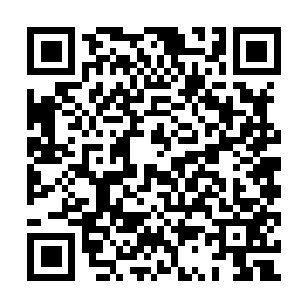 QR code for HS68533