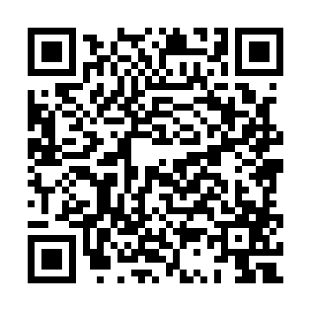 QR code for HS81873