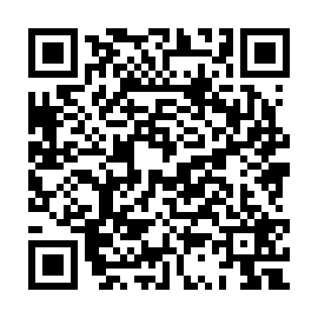QR code for HS82295
