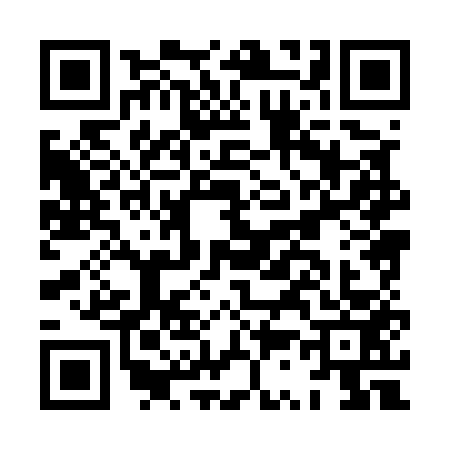 QR code for HS85538