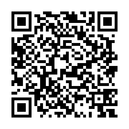 QR code for HS94784