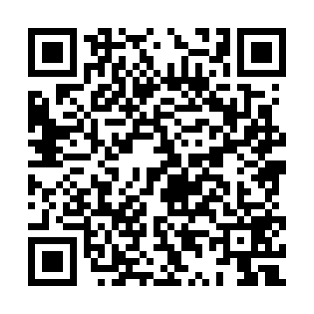 QR code for HT87595