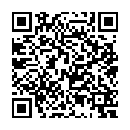 QR code for HU13228