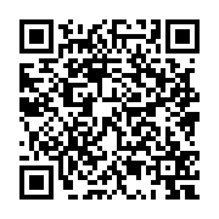 QR code for HU81379