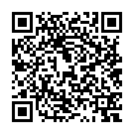 QR code for HV29329