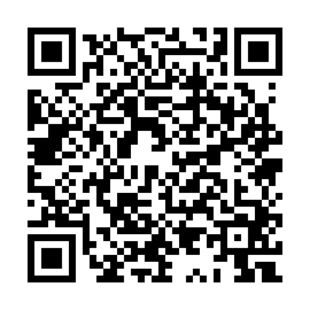 QR code for HY13446