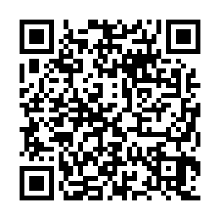 QR code for HY20239