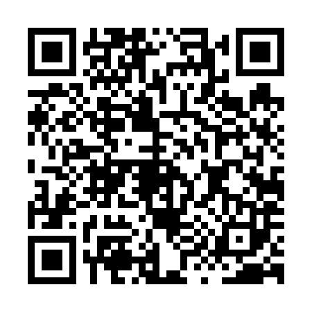 QR code for HY46838