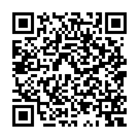QR code for HY87553