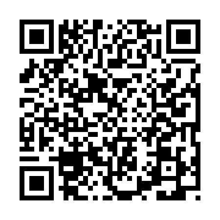 QR code for HY93299