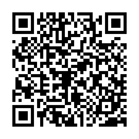 QR code for IA28079