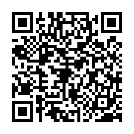 QR code for IA85738