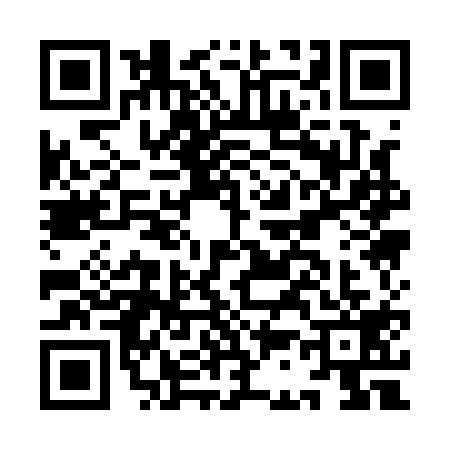 QR code for IC11195