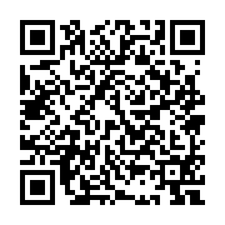 QR code for IC13941