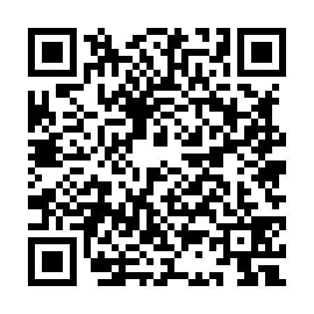 QR code for IC58398