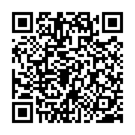 QR code for IC95091