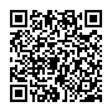 QR code for IC95705