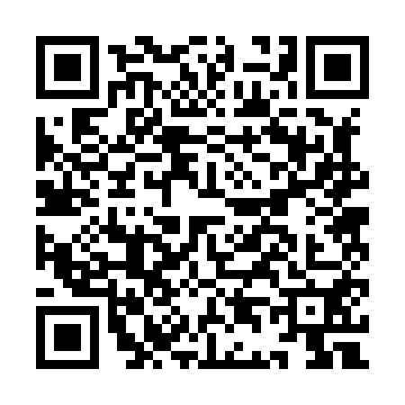 QR code for ID28504